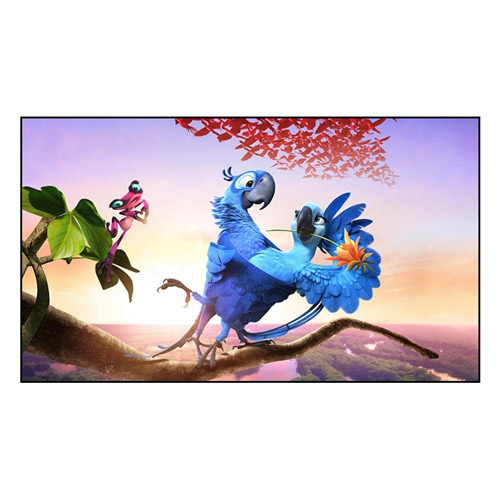 কিভাবে ফিক্সড ফ্রেম স্ক্রীন আপনার দেখার অভিজ্ঞতা উন্নত করে?